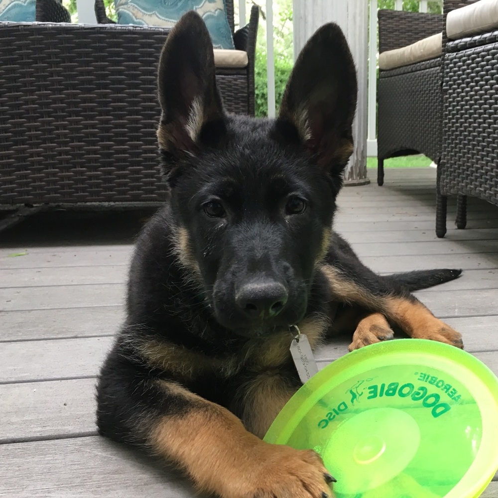 Meet your Posher, Tanya